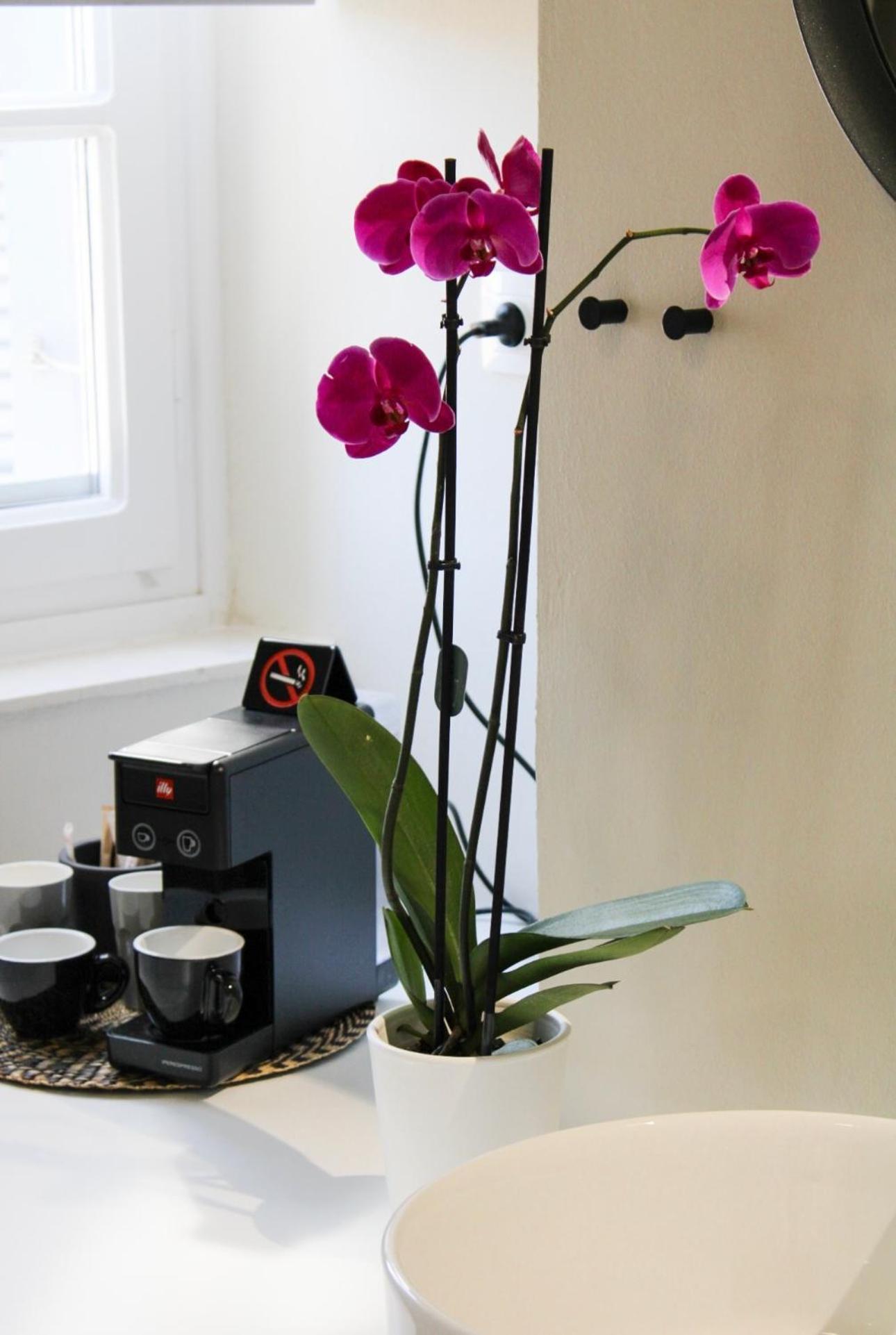 Oiko Mini Suites Ermoupoli Luaran gambar